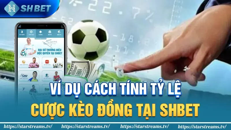 Ví dụ cách tính tỷ lệ cược kèo đồng tại SHBET