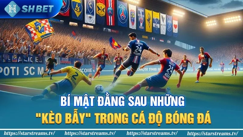 Bí mật đằng sau những "kèo bẫy" trong cá độ bóng đá