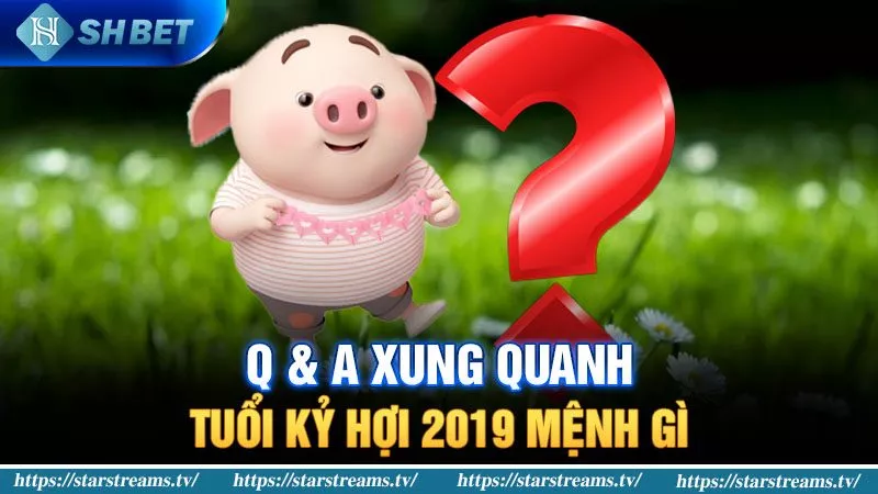 Hỏi đáp xung quanh tuổi Kỷ Hợi 2019 mệnh gì