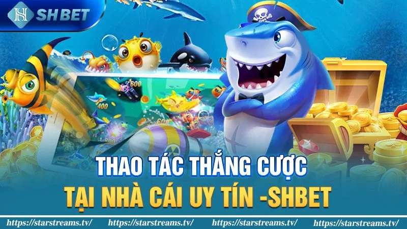 Thao tác thắng cược tại nhà cái uy tín