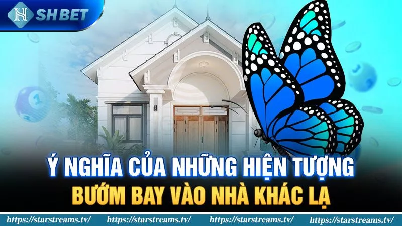 Giải mã những hiện tượng bướm bay vào nhà khác lạ