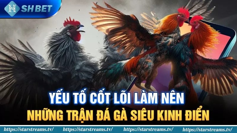 Yếu tố cốt lõi làm nên những trận đá gà siêu kinh điển